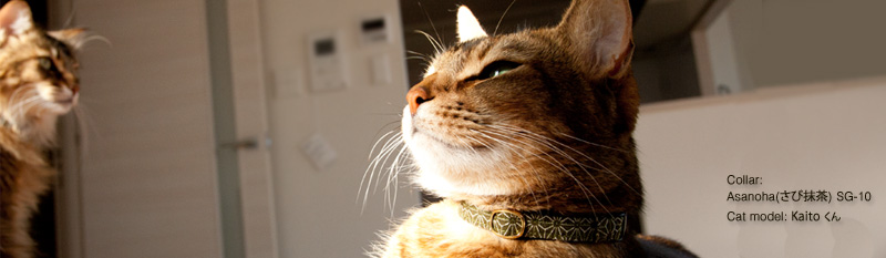 麻の織の猫の首輪