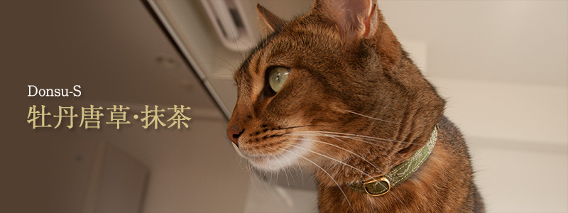 猫の首輪　和柄　正絹緞子　牡丹唐草　抹茶