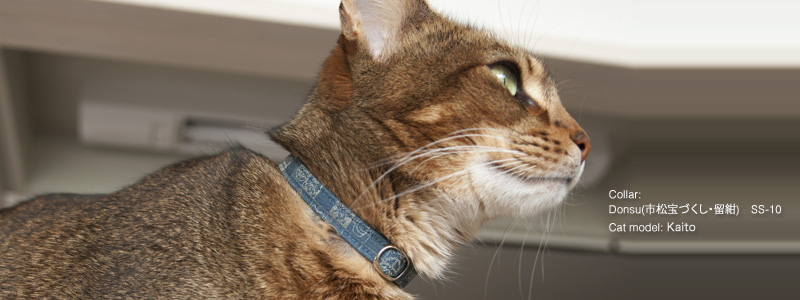 緞子の猫の首輪