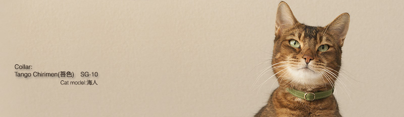 ツムギの猫の首輪 海松色