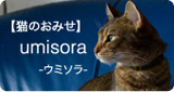 【猫のおみせ】umisora